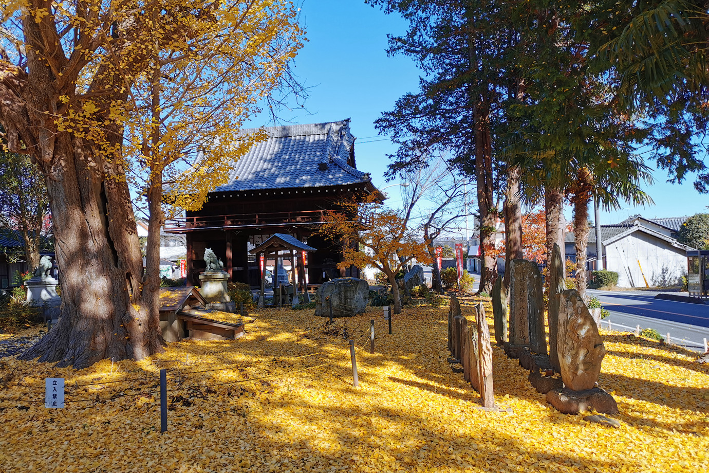 坂東三十三所-妙福山佐竹寺